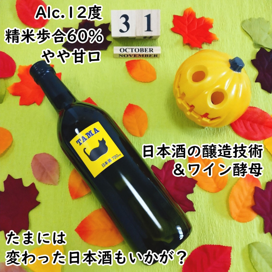 resource/images/4a66979092e7432fa9faf8cffab2f9fd_17.png