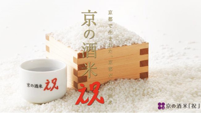 "祝&ldquo;造京酒&mdash;&mdash;玉乃光祝纯米吟酿清酒